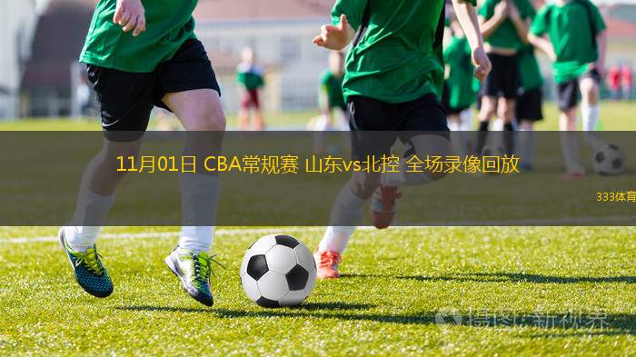 11月01日 CBA常规赛 山东vs北控 全场录像回放