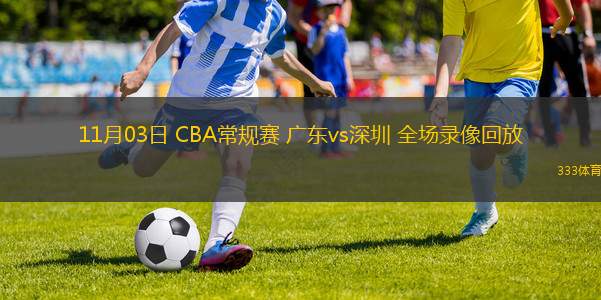 11月03日 CBA常规赛 广东vs深圳 全场录像回放